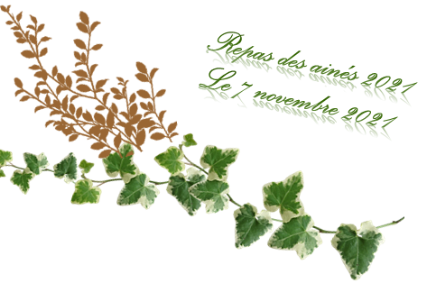 REPAS DES AINES
