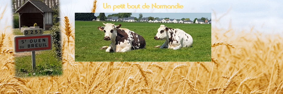 VACHE 19 MAI